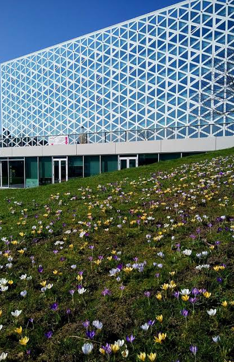windesheim